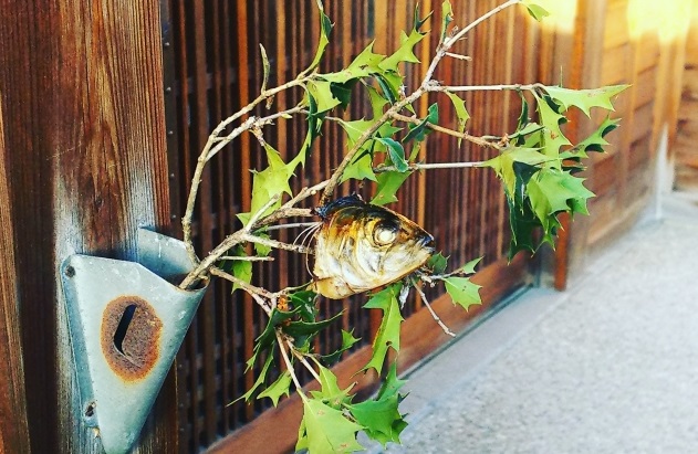 柊鰯