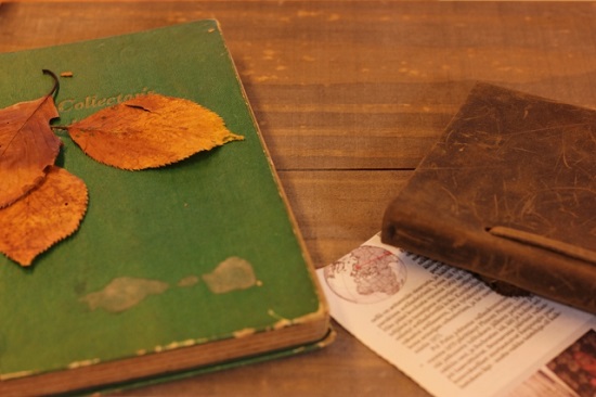歴史書